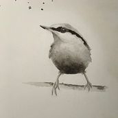 Monochromatic Bird. Watercolor Painting project by dickfamily5 - 06.15.2021