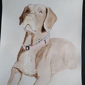Mi Proyecto del curso: Técnicas experimentales de acuarela para principiantes . Un progetto di Illustrazione tradizionale, Belle arti, Pittura ad acquerello e Illustrazione naturalistica di silvia_ikki - 15.06.2021