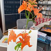 Mon projet du cours : Carnet de croquis botanique : une approche méditative. Traditional illustration, Sketching, Drawing, Watercolor Painting, Botanical Illustration, and Sketchbook project by fournier.robert123 - 06.15.2021