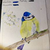 My project in Artistic Watercolor Techniques for Illustrating Birds course. Traditional illustration, Watercolor Painting, Realistic Drawing, and Naturalistic Illustration project by Metzler Claudia - 06.15.2021