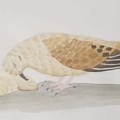 Te extraño. Traditional illustration project by Caro Albarran - 06.11.2021