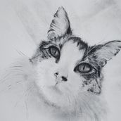 GIMLI 3. Un proyecto de Fotografía de retrato, Iluminación fotográfica y Dibujo de Retrato de K W - 15.06.2021