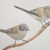 Pareja. Traditional illustration project by Caro Albarran - 06.15.2021