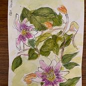 blue passion flower. Watercolor Painting project by Mayra - 06.17.2021