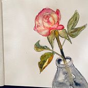 china rose. Watercolor Painting project by Mayra - 06.17.2021
