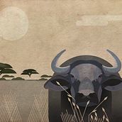 Bubalis. Un progetto di Illustrazione vettoriale, Illustrazione digitale e Illustrazione infantile di kalinsan1 - 17.06.2021