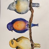 My project in Artistic Watercolor Techniques for Illustrating Birds course. Watercolor Painting, Traditional illustration, Realistic Drawing, and Naturalistic Illustration project by judy - 06.17.2021