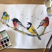 My project in Artistic Watercolor Techniques for Illustrating Birds course. Traditional illustration, Watercolor Painting, Realistic Drawing, and Naturalistic Illustration project by Nina Carter - 06.19.2021