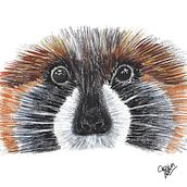 Ojitos. Un proyecto de Ilustración tradicional de Sonia Calvache Dueñas - 19.06.2021