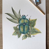Meu projeto do curso: Desenho e composição naturalista em aquarela. Ilustração tradicional, Desenho, Pintura em aquarela e Ilustração naturalista projeto de Mariana Méndez - 15.06.2021