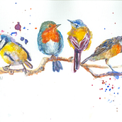 Meu projeto do curso: Técnicas expressivas de aquarela para ilustração de pássaros Ein Projekt aus dem Bereich Traditionelle Illustration, Aquarellmalerei, Realistische Zeichnung und Naturalistische Illustration von Hamilton Braga - 21.06.2021