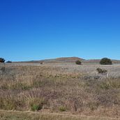 LA PAMPA, PORTAL DE LA PATAGONIA . Iklan, Fotografi, Pemasaran, Penulisan naskah, Mendongeng, Pemasaran Konten, Dan Komunikasi proyek oleh Adriana Romero - 06.21.2021