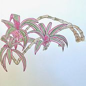 My project in Botanical Sketchbooking: A Meditative Approach course. Traditional illustration, Sketching, Drawing, Watercolor Painting, Botanical Illustration, and Sketchbook project by Melanie Zurba - 06.22.2021