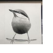 My project in Artistic Watercolor Techniques for Illustrating Birds course. Un projet de Illustration traditionnelle, Aquarelle, Dessin réaliste et Illustration naturaliste de rosifg9421 - 20.06.2021