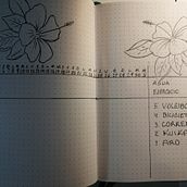 Mis Notas. Design project by Ana Vargas - 06.23.2021