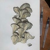 My project in Botanical Sketchbooking: A Meditative Approach course. Traditional illustration, Sketching, Drawing, Watercolor Painting, Botanical Illustration, and Sketchbook project by Sab Kay - 06.10.2021