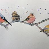 My project in Artistic Watercolor Techniques for Illustrating Birds course. Traditional illustration, Watercolor Painting, Realistic Drawing, and Naturalistic Illustration project by lmillington46 - 06.23.2021