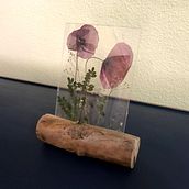 Mi Proyecto del curso: Técnicas básicas de prensado botánico. Arts, Crafts, Fine Arts, Collage, and DIY project by carnavbe - 06.15.2021