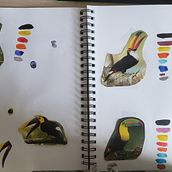 Mi Proyecto del curso: Acuarela artística para ilustración de aves. Traditional illustration, Watercolor Painting, Realistic Drawing, and Naturalistic Illustration project by Judith Padilla - 06.24.2021