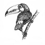 My Obsession with Birds. Ink on moleskin paper.. Een project van  Illustratie met inkt, Traditionele illustratie y Sketchbook van Chris Rusnak - 24.06.2021