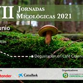 Muestra diseño multimedia. Un proyecto de Publicidad, Diseño, Diseño gráfico y Marketing de Daniel Coloma - 25.06.2021