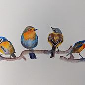 My project in Artistic Watercolor Techniques for Illustrating Birds course. Traditional illustration, Watercolor Painting, Realistic Drawing, and Naturalistic Illustration project by saralaskowski - 06.25.2021