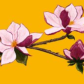 Meu projeto do curso: Ilustração botânica com aquarela. Traditional illustration, Fine Arts, Painting, Drawing, Watercolor Painting, and Botanical Illustration project by daniifreier - 06.25.2021