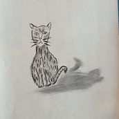 Gatito a carboncillo . % Elena García tarafından hazırlanan Çizim, Ve Sanatsal Çizim projesi - 06.25.2021