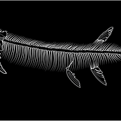 Fossils for a Geochronology Project, published by Bluedoor Publishing . % Leigh Nelson tarafından hazırlanan Geleneksel illüstras, on, Eğitim, Vektör İllüstras, onu, Dijital İllüstras, on, Doğalcı İllüstras, Ve on projesi - 06.26.2021