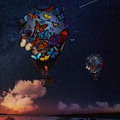 Butterflies in flight. Een project van  Beeldende kunst, Fotografie y  Creativiteit van Sharon Lee - 26.06.2021