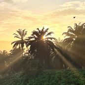 My project in Color Theory in Photography course. Photograph, Photo Retouching, Digital Photograph, Photographic Composition, and Color Theor project by leetzeian - 06.26.2021