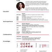Cv Eng. Projekt z dziedziny Projektowanie graficzne użytkownika Irán Izquierdo - 26.06.2021