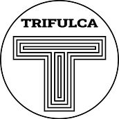 Trifulca.cl. Design, 3D, Design de vestuário, Modelagem 3D, e E-commerce projeto de José Hinojosa - 27.06.2021