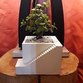 Mi Proyecto del curso: Creación de muebles en concreto para principiantes. Arts, Crafts, Furniture Design, Making, Interior Design, Interior Decoration, and DIY project by Soledad Salas Ortiz - 06.27.2021