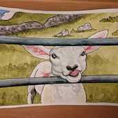 Bleatie the lamb. Een project van Aquarelschilderen van Niamh D - 27.06.2021