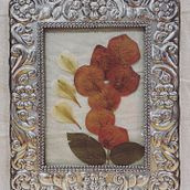 Mi Proyecto del curso: Técnicas básicas de prensado botánico. Een project van Craft,  Beeldende kunst, Collage y DIY van Maria Claudia Martinez - 26.06.2021