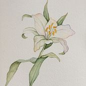 My course project : Drawing and naturalistic composition in watercolor. Traditional illustration, Drawing, Watercolor Painting, and Naturalistic Illustration project by Reet Sharma - 06.29.2021