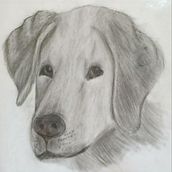 My project in Contemporary Portraits with Graphite course. Traditional illustration, Fine Arts, Sketching, Pencil Drawing, Drawing, Portrait Drawing, Realistic Drawing, Artistic Drawing, and Figure Drawing project by Samriddhi Gupta - 06.21.2021