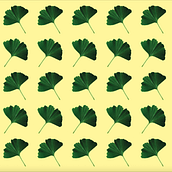 Patterns: 2 - Ginkgo Leaves  . Un projet de Design , Illustration traditionnelle, Photographie, Design graphique, Création de motifs, Créativité, Illustration numérique, Estampe, Photographie numérique , et Conception numérique de katerina_valiath - 29.06.2021