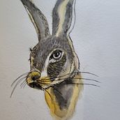 My project in Experimental Watercolor Techniques for Beginners course. Traditional illustration, Fine Arts, Watercolor Painting, and Naturalistic Illustration project by Emery Lay - 06.27.2021
