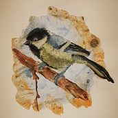 artistic watercolour techniques for illustrating birds. Traditional illustration, and Watercolor Painting project by napiorka - 06.30.2021