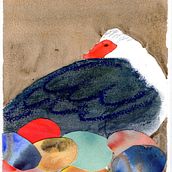My project in Illustrating Nature: A Creative Exploration course Muscovy Duck. Traditional illustration, Painting, Drawing, Watercolor Painting, Naturalistic Illustration & Ink Illustration project by Nicko King - 06.29.2021