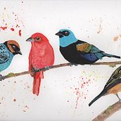 Mi Proyecto del curso: Acuarela artística para ilustración de aves. Traditional illustration, Watercolor Painting, Realistic Drawing, and Naturalistic Illustration project by Katherine Moreno - 07.01.2021