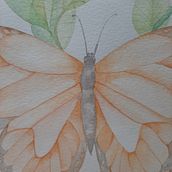 Mi Proyecto del curso: Dibujo y composición naturalista en acuarela. Traditional illustration, Drawing, and Naturalistic Illustration project by Doris Bruno - 06.30.2021