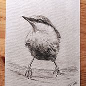 My project in Artistic Watercolor Techniques for Illustrating Birds course. Traditional illustration, Watercolor Painting, Realistic Drawing, and Naturalistic Illustration project by dzasti3 - 07.02.2021