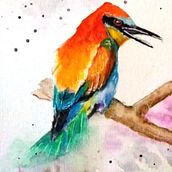 Meu projeto do curso: Técnicas expressivas de aquarela para ilustração de pássaros. Een project van Traditionele illustratie, Aquarelschilderen, Realistische tekening y Naturalistische illustratie van Eduardo Severino Mapa - 30.06.2021