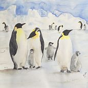 ¿Dónde están los pingüinos? . % Jacqueline Plasser tarafından hazırlanan Yazma, Hika, e anlatımı, Çocuk İllüstras, onu, Çocuklarla Yaratmak, Ve Anlatı projesi - 07.03.2021