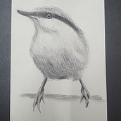 My project in Artistic Watercolor Techniques for Illustrating Birds course. Traditional illustration project by Jo-Anne - 07.02.2021