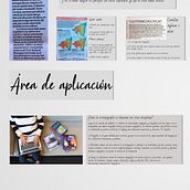 Importancia de la ortotipografía. Een project van  Ontwerp,  Design management, T, pografie,  Infographics y  Creativiteit van Milagros Matus - 03.07.2021