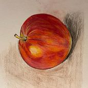 My project in Illustrating Nature: A Creative Exploration course. Traditional illustration, Painting, Drawing, Watercolor Painting, Ink Illustration, and Naturalistic Illustration project by Ally Burrows - 07.03.2021